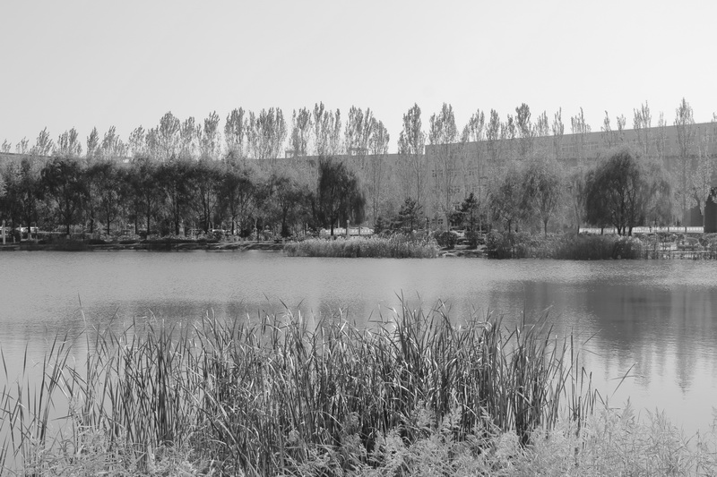 《寂湖》 (7).JPG