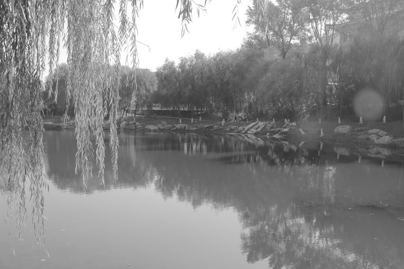 《寂湖》 (9).JPG